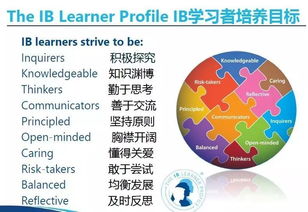 ib课程辅导机构北京
