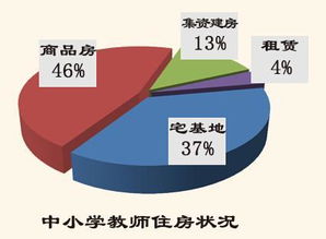 教师多元化的发展及其重要性