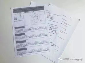 国际学校入学考试培训多少钱一个月